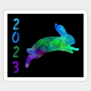 The Year Of The Rabbit Chinese Zodiac Lunar New Year Magnet